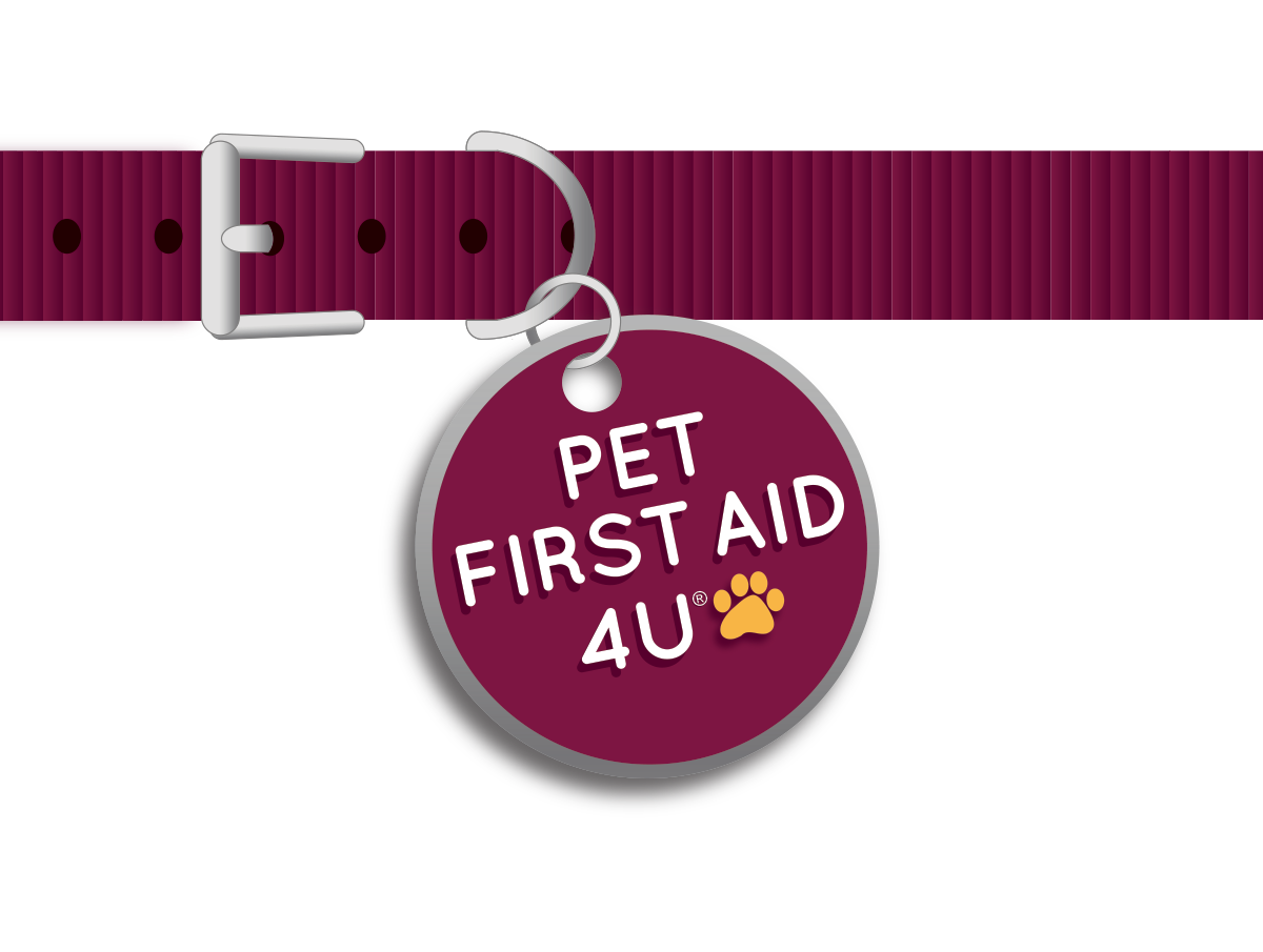 pet first aid 4u